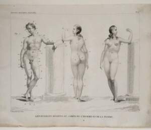 Medical prints